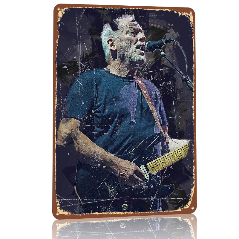 David Gilmour Metal Poster Cus - Gaming Accessories Retro 评论和价格
